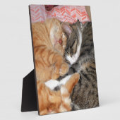 Nickerchen Buddies Fotoplatte (Seite)