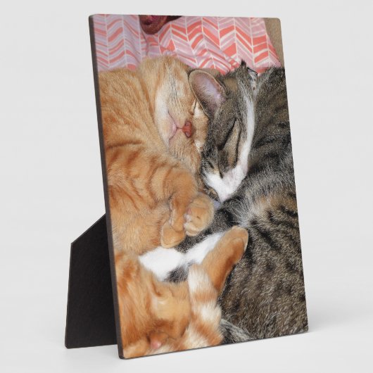 Nickerchen Buddies Fotoplatte (Seite)