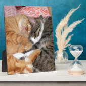 Nickerchen Buddies Fotoplatte (Seite)