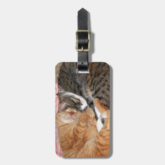 Nickerchen Buddies Gepäckanhänger (Vorderseite vertikal)