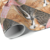 Nickerchen Buddies Geschenkpapier (Rolleneckpunkt)