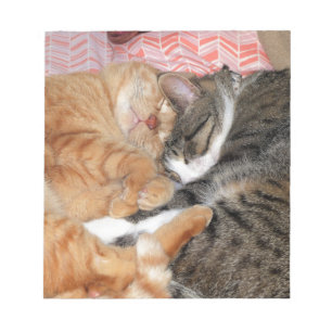 Nickerchen Buddies Notizblock