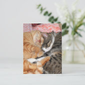 Nickerchen Buddies Postkarte (Stehend Vorderseite)