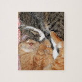 Nickerchen Buddies Puzzle (Vertikal)