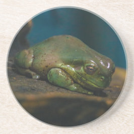 Nickerchen Getränkeuntersetzer