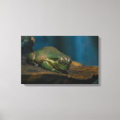 Nickerchen Leinwanddruck (Vorderseite)