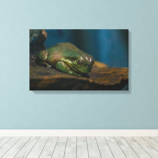 Nickerchen Leinwanddruck (Insitu (Holzboden))