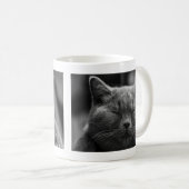 Nickerchen machende graue Katze Kaffeetasse (VorderseiteRechts)