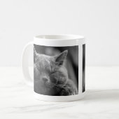 Nickerchen machende graue Katze Kaffeetasse (Vorderseite Links)