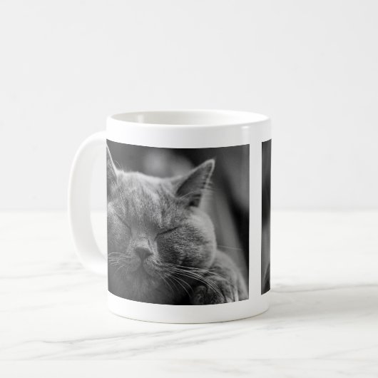 Nickerchen machende graue Katze Kaffeetasse (Vorderseite Links)