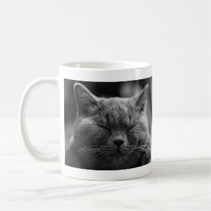 Nickerchen machende graue Katze Kaffeetasse
