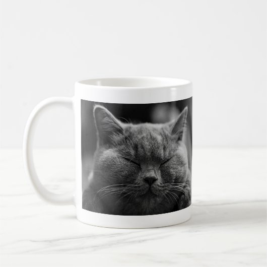 Nickerchen machende graue Katze Kaffeetasse (Links)