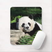 Nickerchen machender großer Panda Mousepad (Mit Mouse)