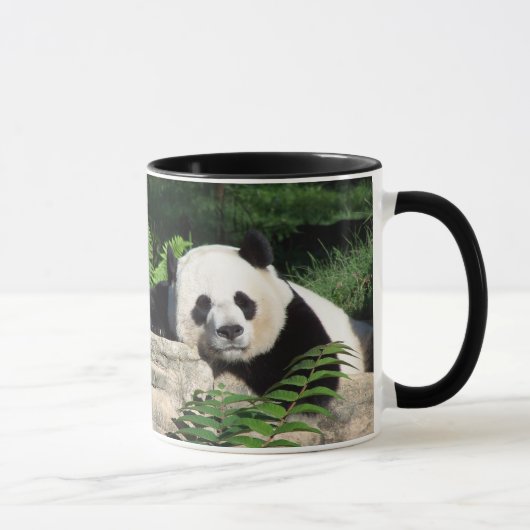 Nickerchen machender großer Panda Tasse (Rechts)