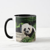 Nickerchen machender großer Panda Tasse (Links)