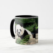 Nickerchen machender großer Panda Tasse (Vorderseite Links)