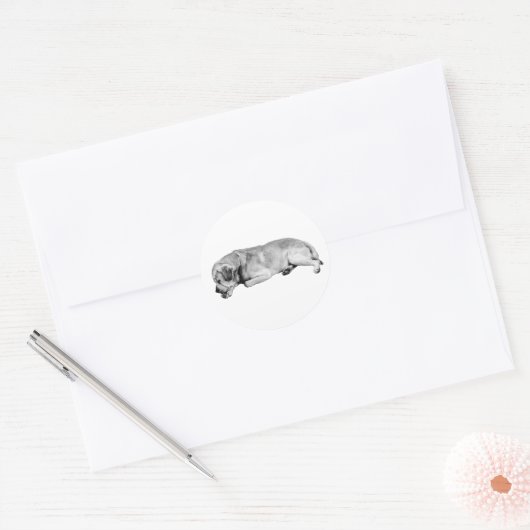 Nickerchen Mentor Runder Aufkleber (Umschlag)