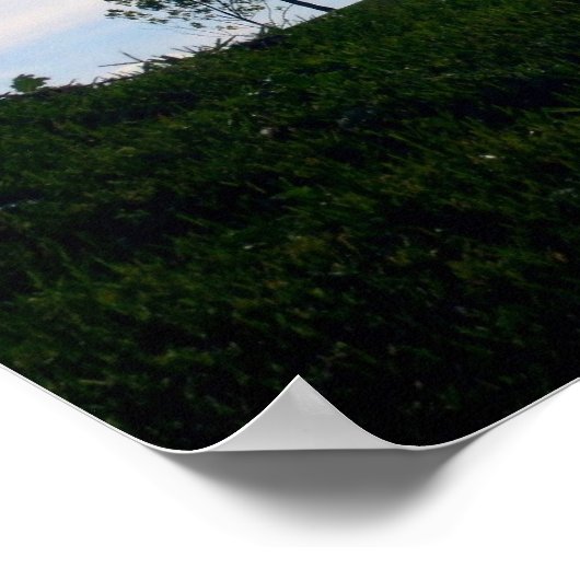 NICKERCHEN POSTER (Ecke)