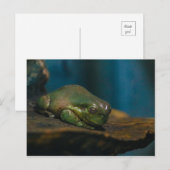 Nickerchen Postkarte (Vorne/Hinten)