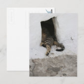 Nickerchen Postkarte (Vorne/Hinten)