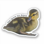 Nickerchen. Quack. Essen. Wieder von vorne. - Mall Aufkleber (Vorderseite)
