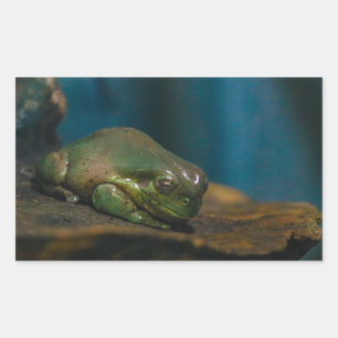 Nickerchen Rechteckiger Aufkleber