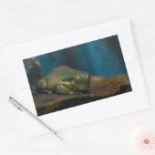 Nickerchen Rechteckiger Aufkleber (Umschlag)