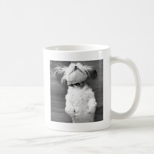 Nickerchen Shih Tzu Kaffeetasse (Rechts)