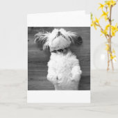 Nickerchen Shih Tzu Karte (Gelbe Blume)