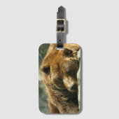 Nickerchen Time Bear Gepäckanhänger (Vorderseite Vertikal)