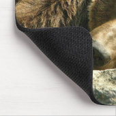 Nickerchen Time Bear Mousepad (Ecke)