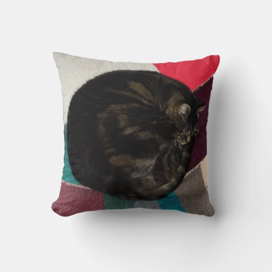 Nickerchen Time Dave Cushion Kissen (Vorderseite)