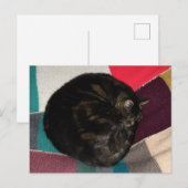Nickerchen Time Dave Postcard Postkarte (Vorne/Hinten)