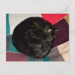 Nickerchen Time Dave Postcard Postkarte