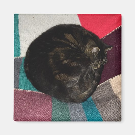Nickerchen Time Dave Square Magnet (Vorne)