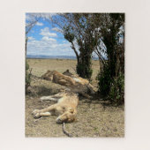 Nickerchen Time for Lions Kenya Puzzle (Vertikal)