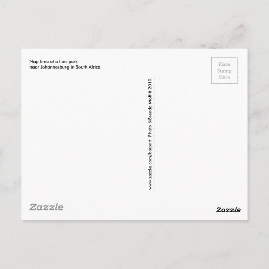 Nickerchen Time Lion Cubs Südafrika Postkarte (Rückseite)