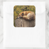 Nickerchen Time Niedlich Red Fox Sticker (Tasche)