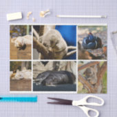 Nickerchen Time Sleeping Animes Koala Decoupage Fo Seidenpapier (Handwerk)