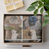 Nickerchen Time Sleeping Animes Koala Decoupage Fo Seidenpapier (Geschenk)