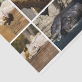 Nickerchen Time Sleeping Animes Koala Decoupage Fo Seidenpapier (Ausschnitt)