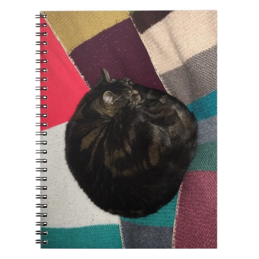 Nickerchen Time Spiral Foto Notebook Notizblock (Vorderseite)