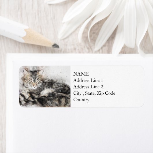 Nickerchen Time Tabby | ABSTRAKT | Wasserfarbe (Insitu)