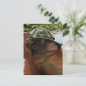 Nickerchen von Tieren Postkarte (Stehend Vorderseite)