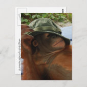 Nickerchen von Tieren Postkarte (Vorne/Hinten)