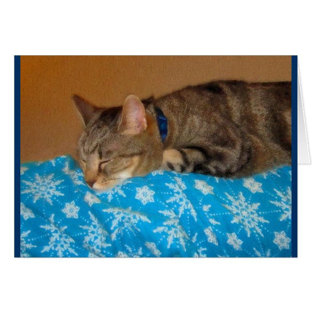 Nickerchen-Zeit für Indizierungen (Vorderseite (Horizontal))