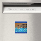 Nickerchen-Zeit für Indizierungen Magnet (In Situ (Geschirrspüler))