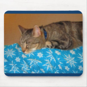 Nickerchen-Zeit für Indizierungen Mousepad