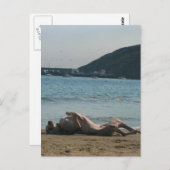 Nickerchen Zeit... Postkarte (Vorne/Hinten)