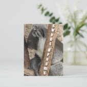 Nickerchenzeit Postkarte (Stehend Vorderseite)